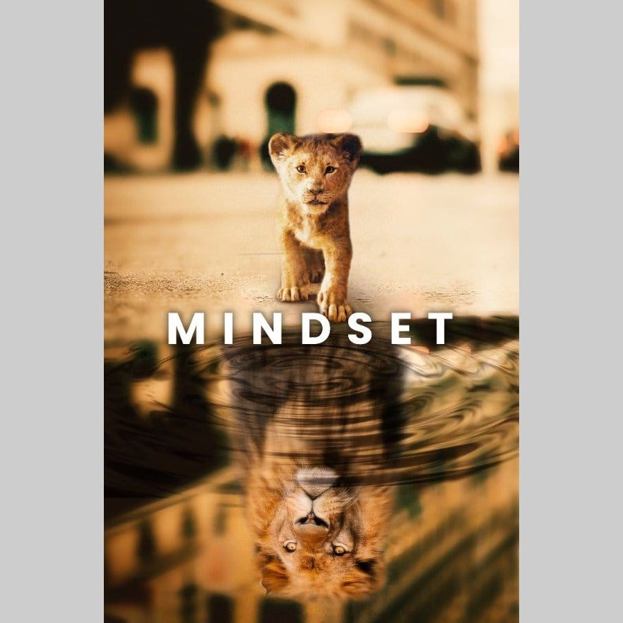 Mindset - Afbeelding 11