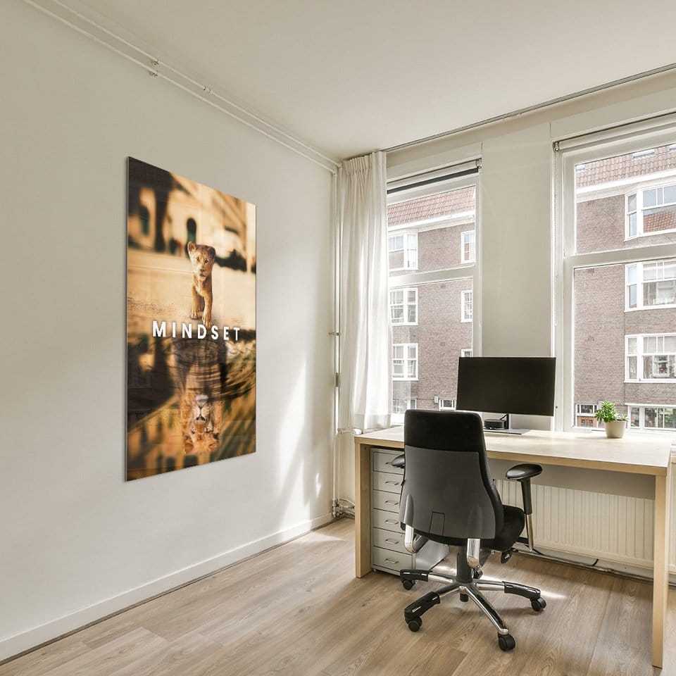 Mindset - Afbeelding 2