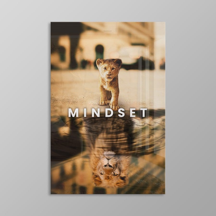 Mindset - Afbeelding 10
