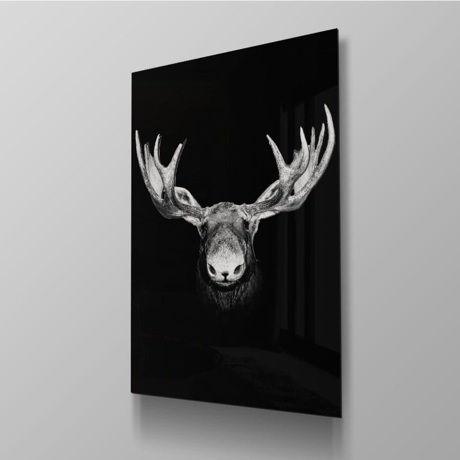 Moose front - Afbeelding 4