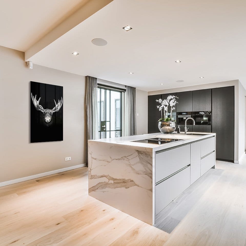 Moose front - Afbeelding 6