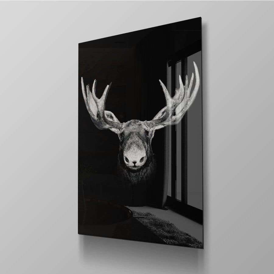 Moose front - Afbeelding 10