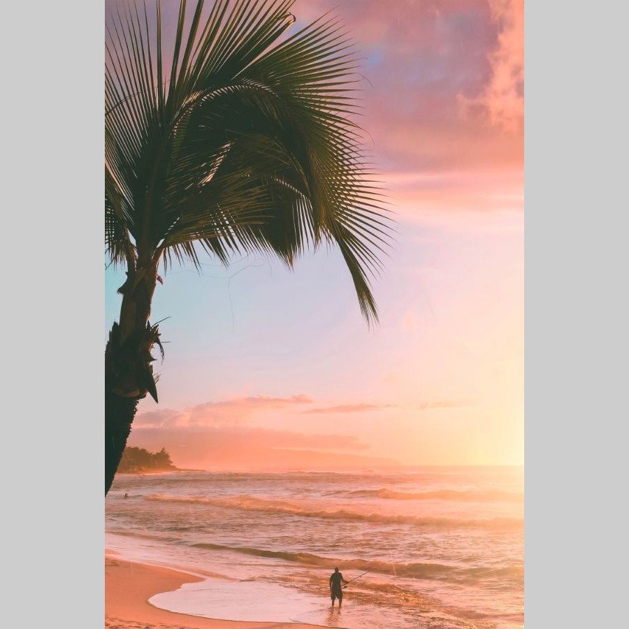 North Shore Palms - Afbeelding 12