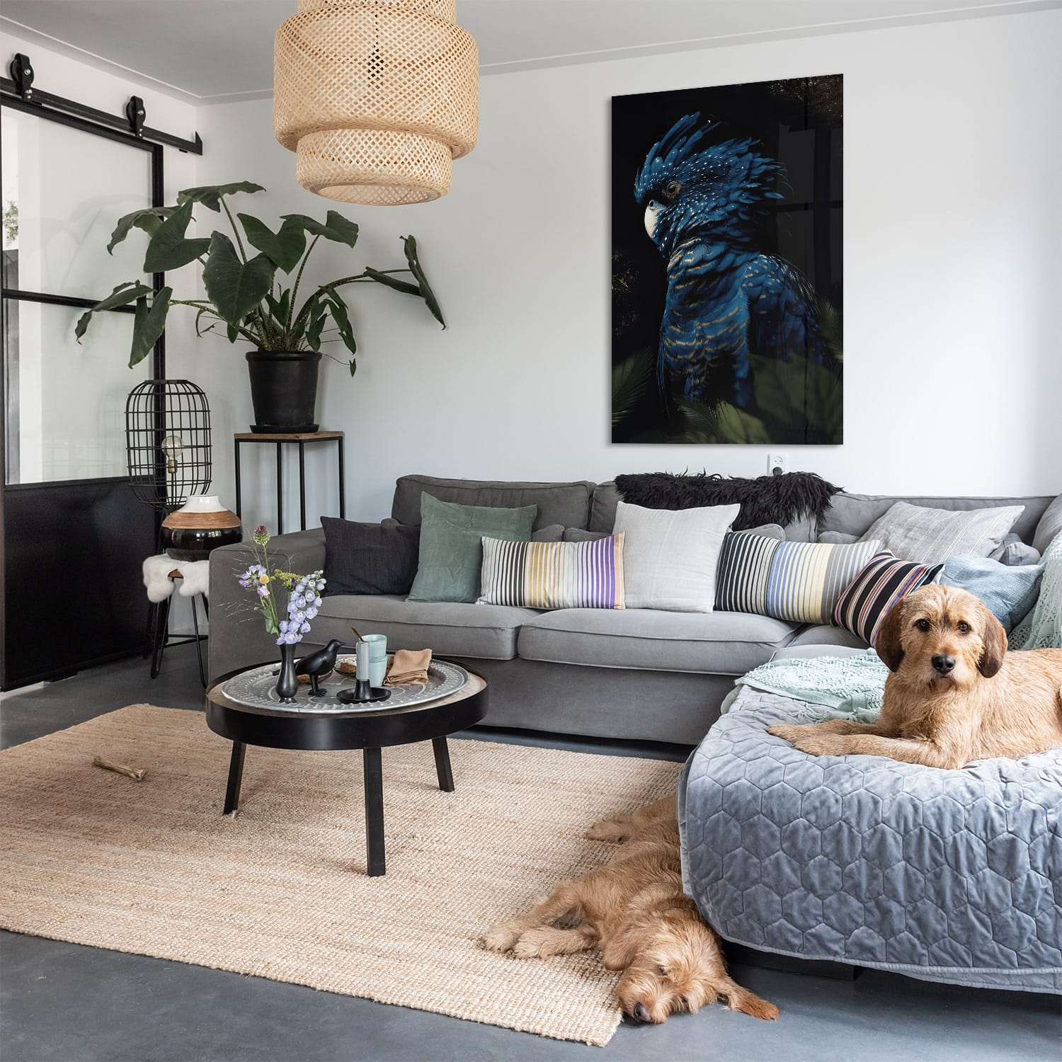 Parrot - Afbeelding 8