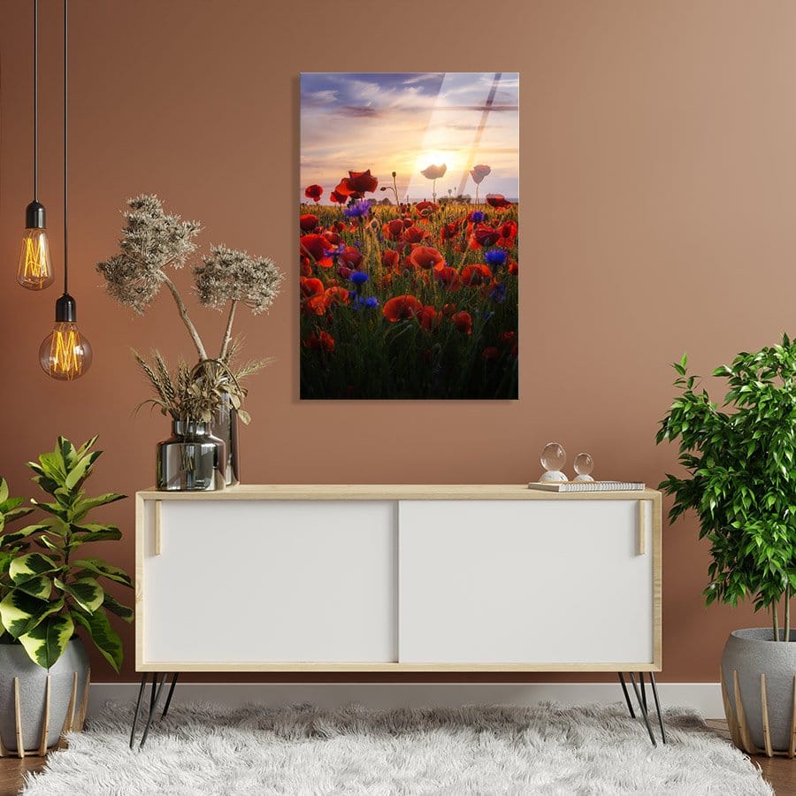 Poppies Sunrise - Afbeelding 9
