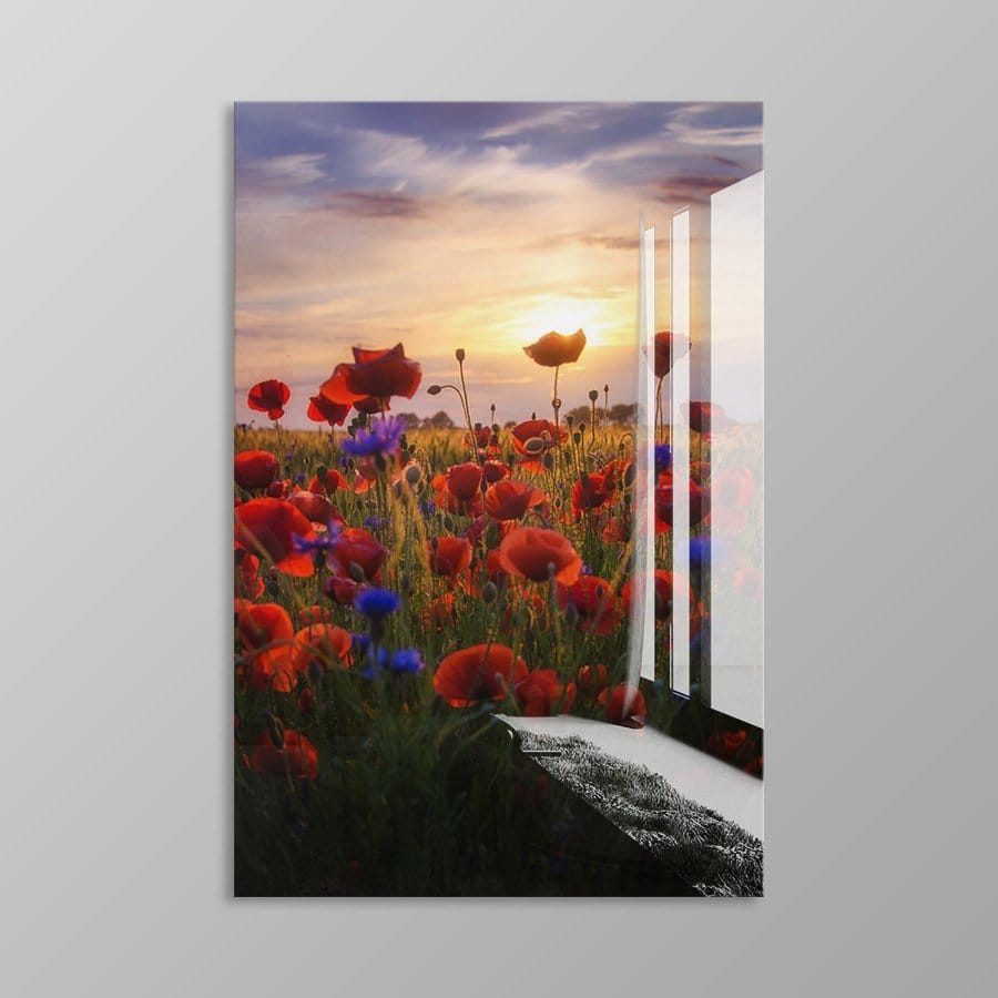 Poppies Sunrise - Afbeelding 12