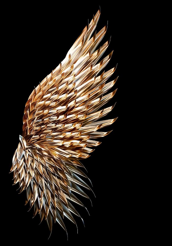 Golden Wings (2x) - Afbeelding 9