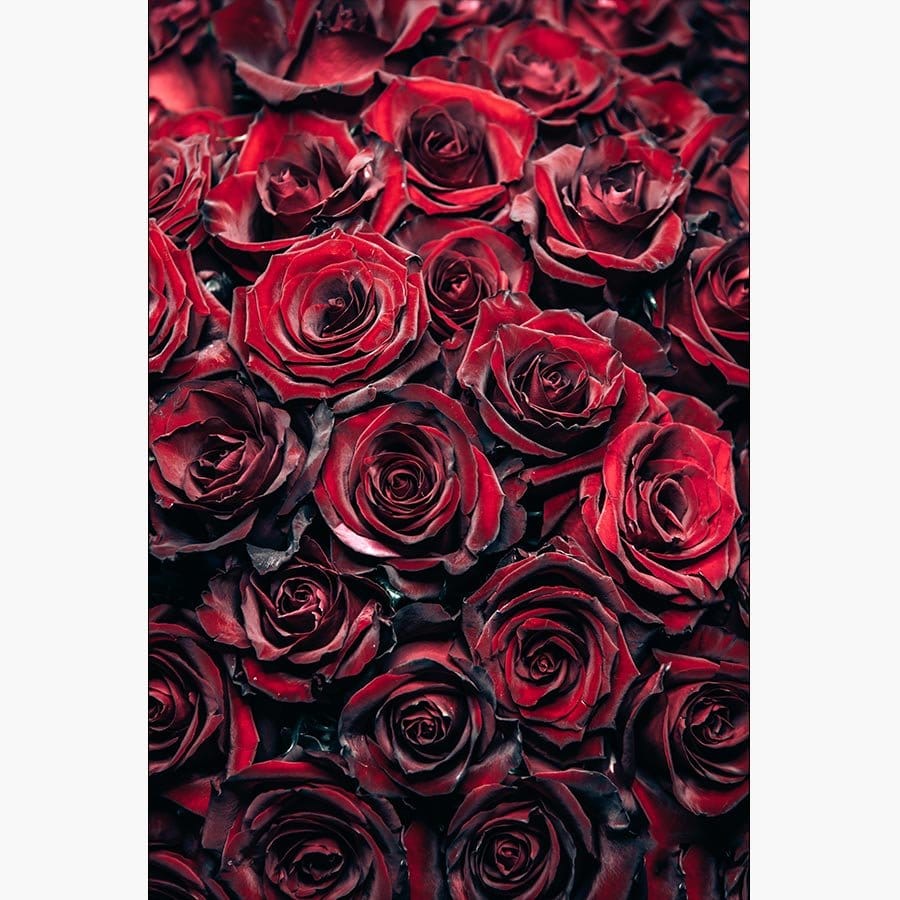 Bed of Roses - Afbeelding 12
