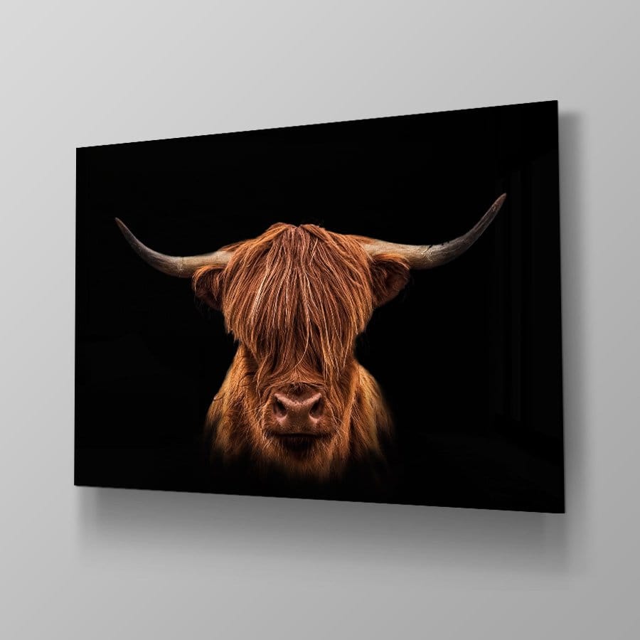 Scottish Highlander - Afbeelding 4