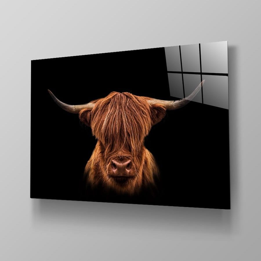 Scottish Highlander - Afbeelding 10