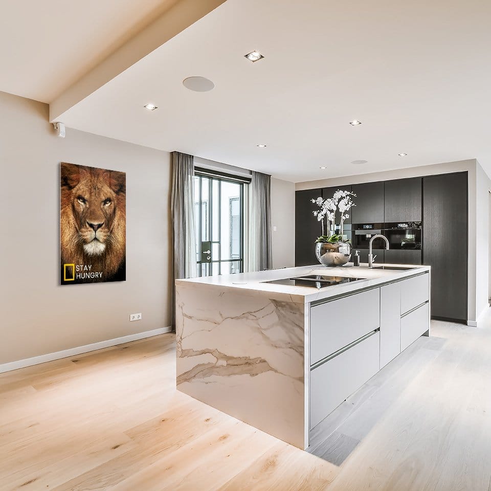 Lion stay hungry - Afbeelding 3