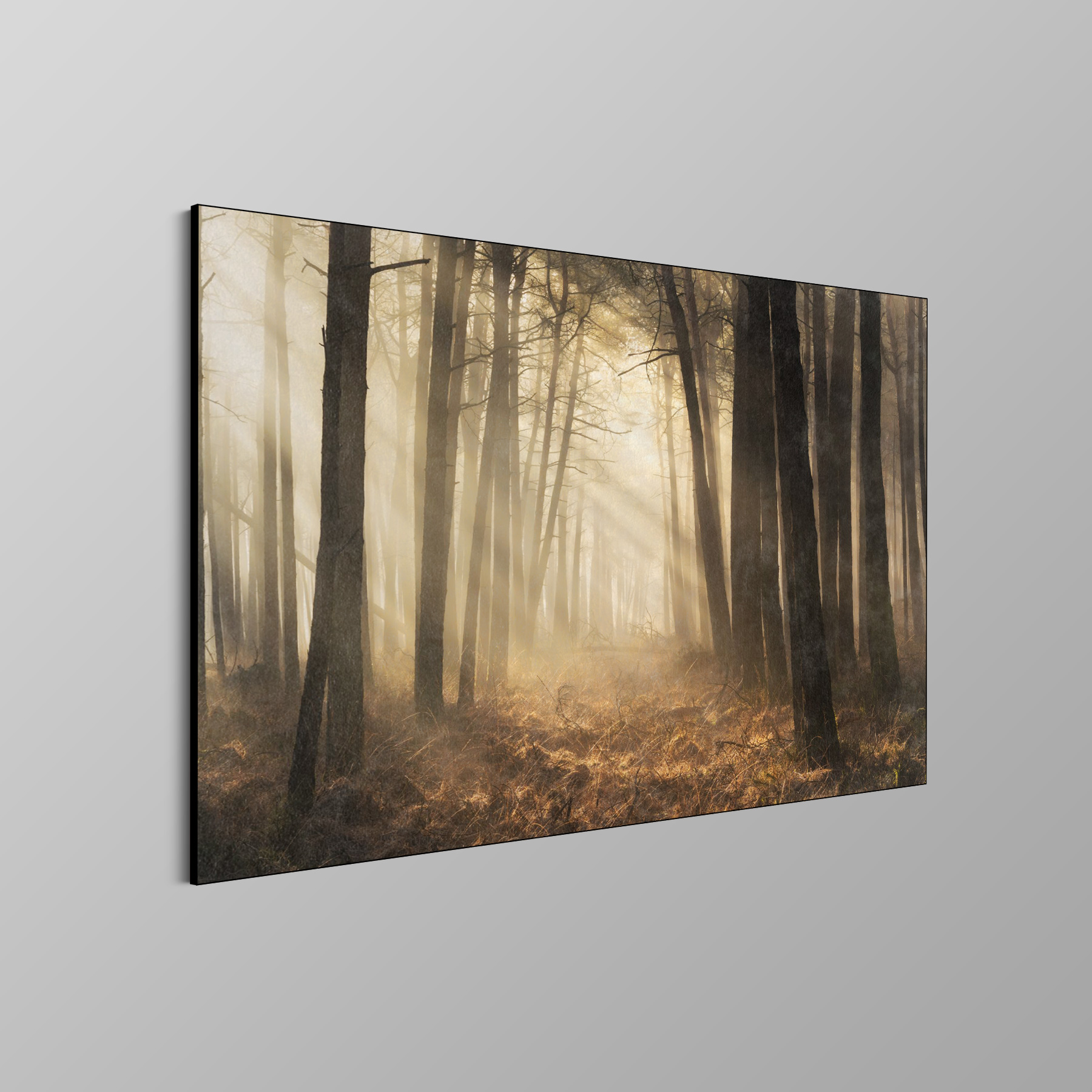 Struck by light(n)ing - Afbeelding 4