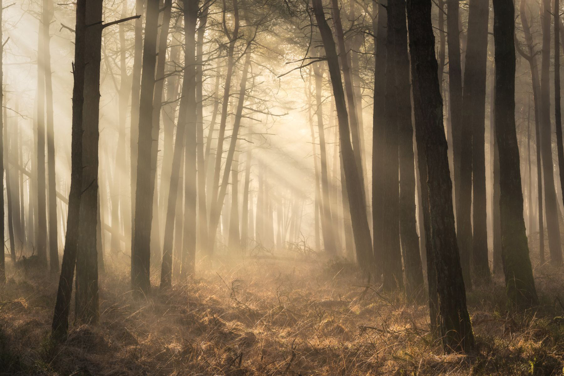 Struck by light(n)ing