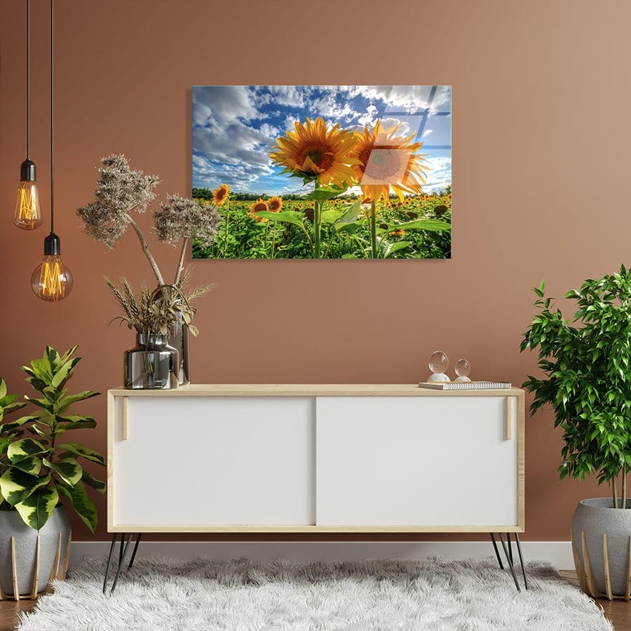 Sunflowers At Sunset - Afbeelding 9