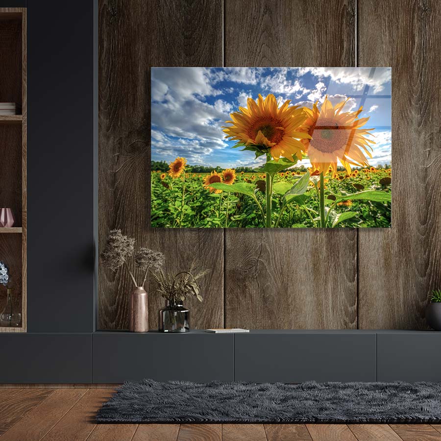 Sunflowers At Sunset - Afbeelding 10