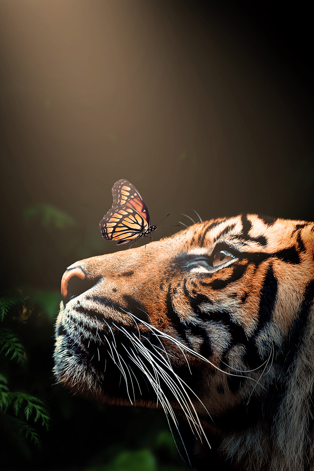 Tiger butterfly - Color