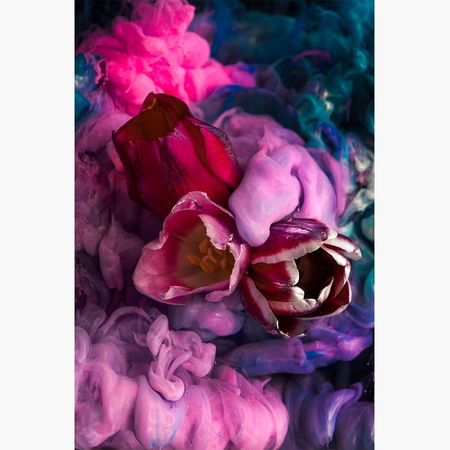 Tulips Under Water - Afbeelding 10