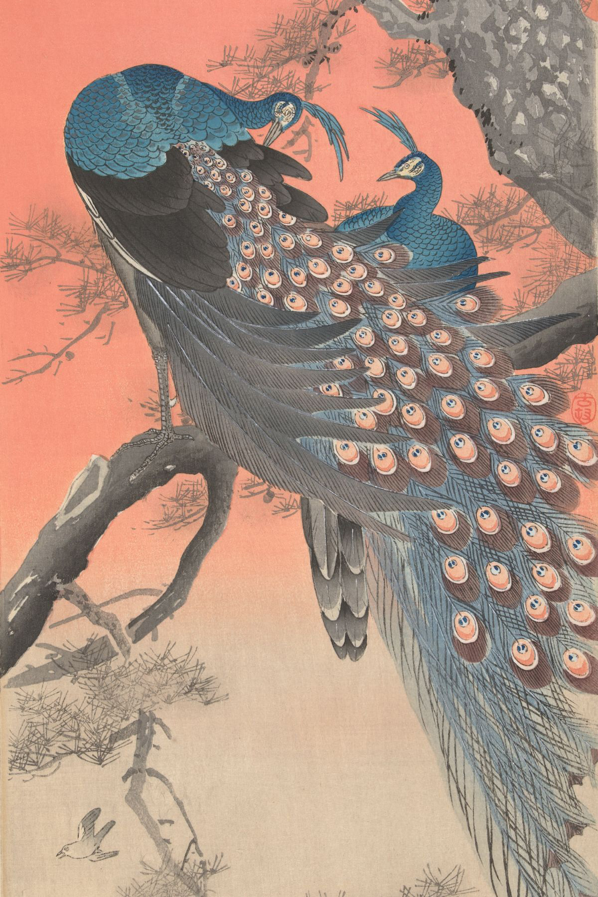 Twee pauwen op boomtak - Ohara Koson - Rijksmuseum