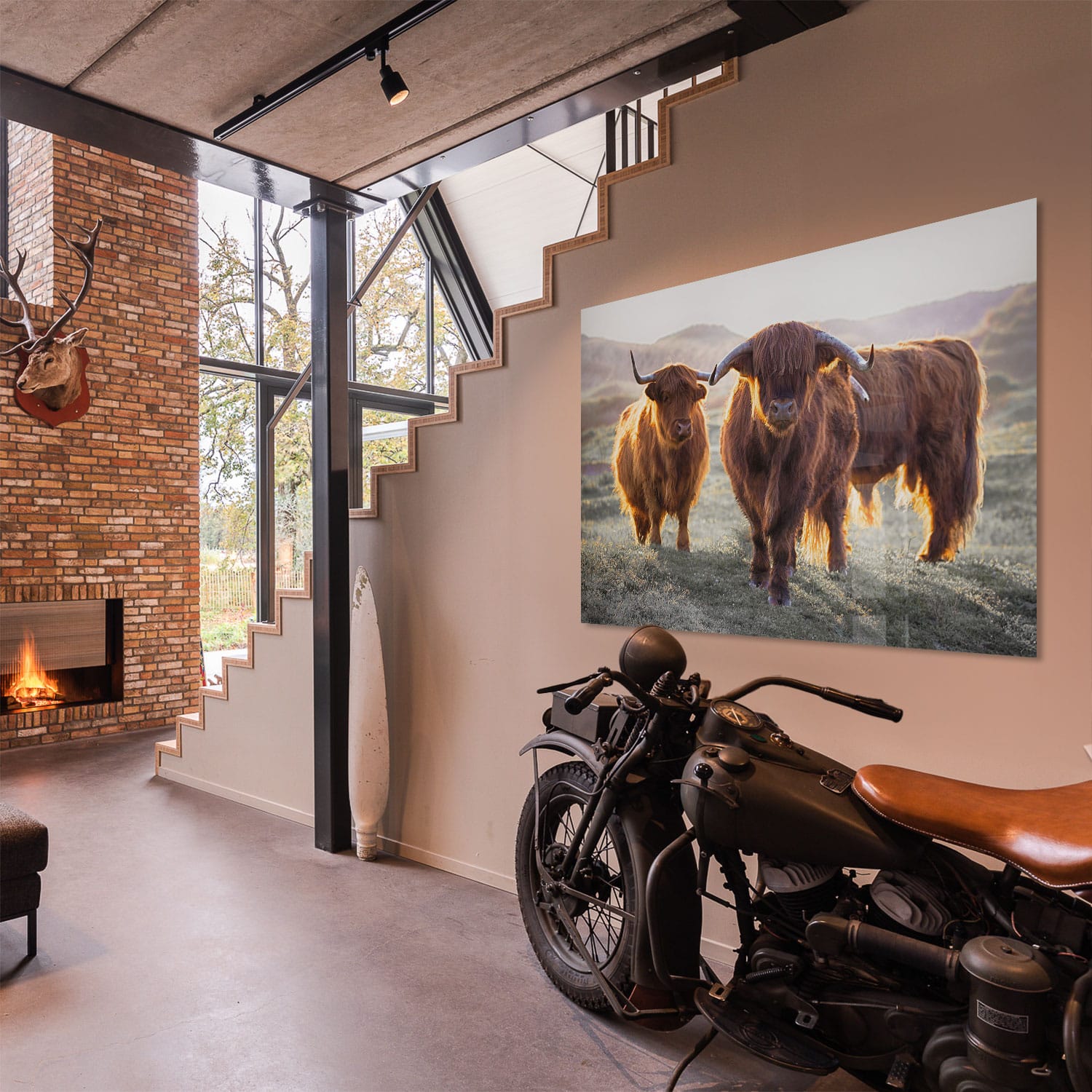 3 Schotse Hooglanders - Afbeelding 3