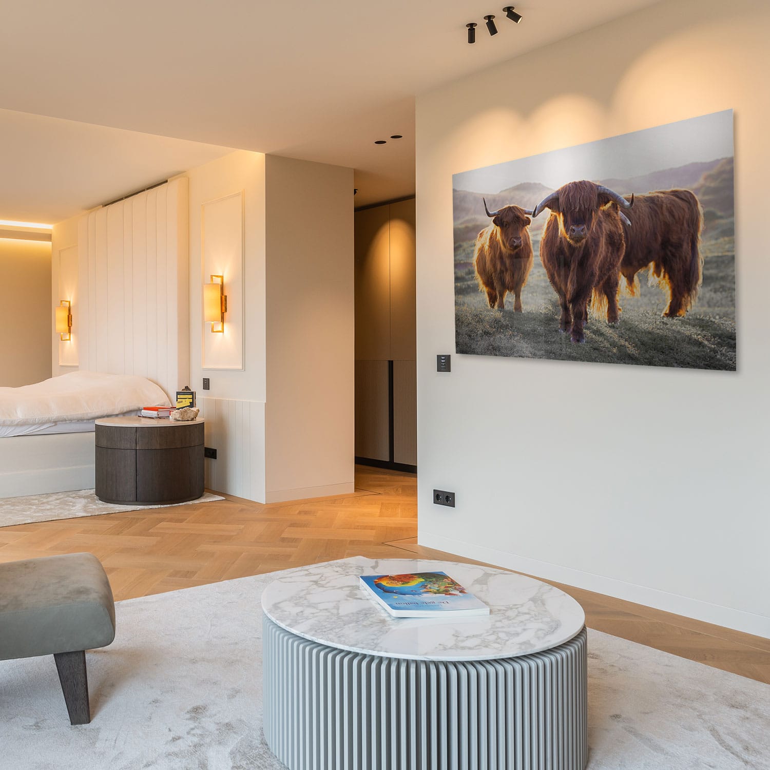 3 Schotse Hooglanders - Afbeelding 7