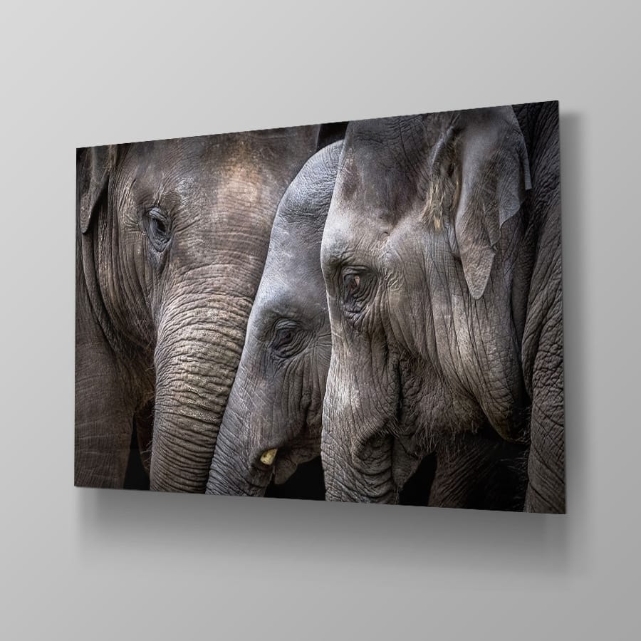 Eye to Eye - Afbeelding 4