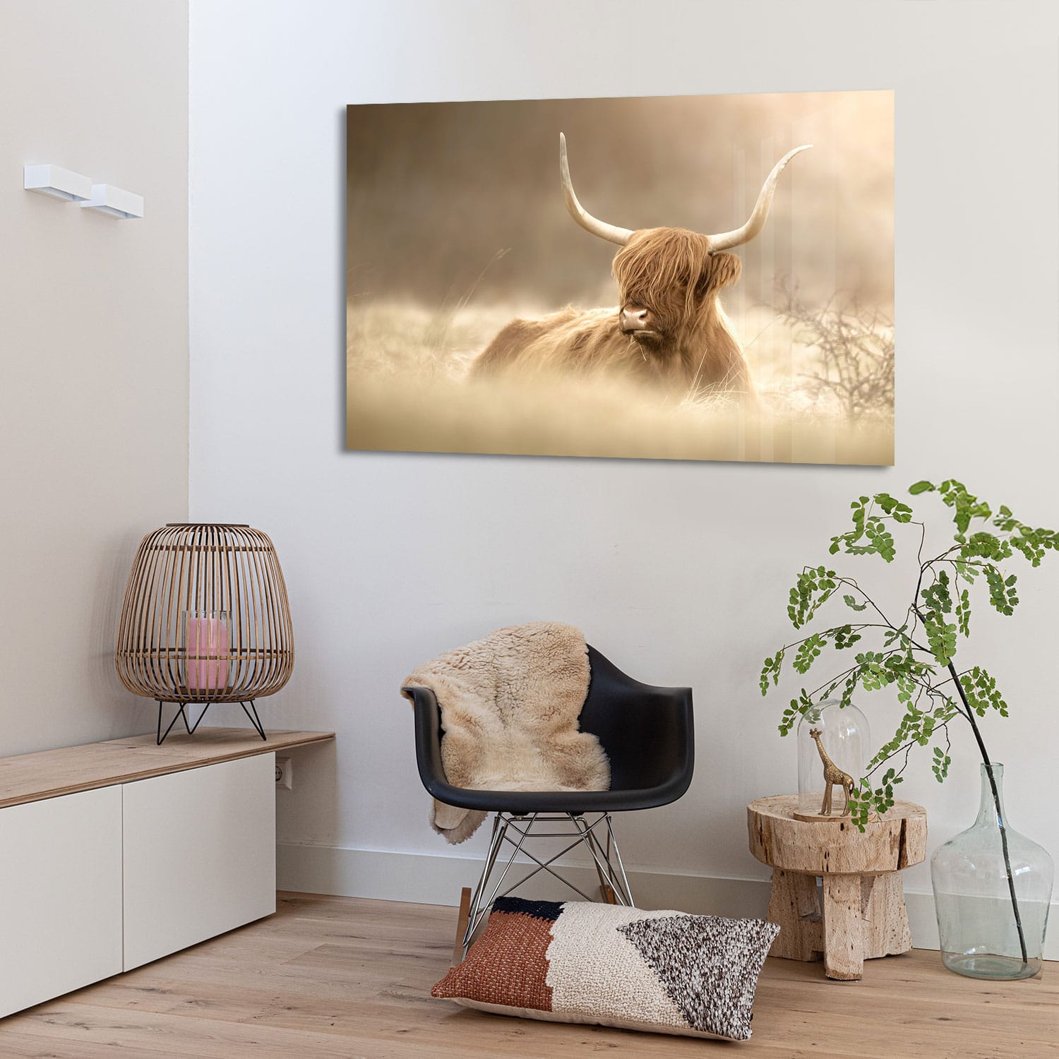 Schotse Hooglander Chilling - Afbeelding 3