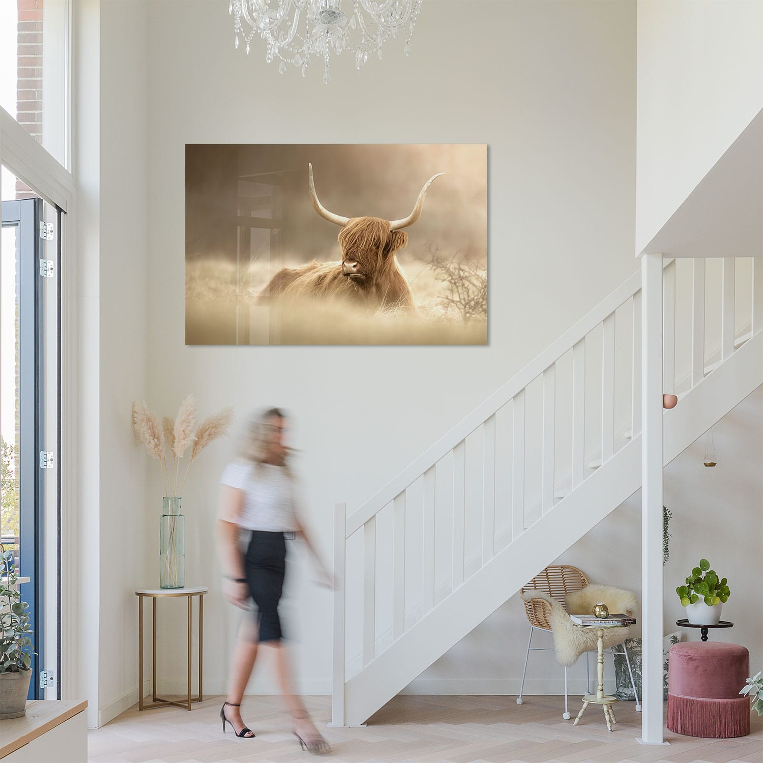 Schotse Hooglander Chilling - Afbeelding 5