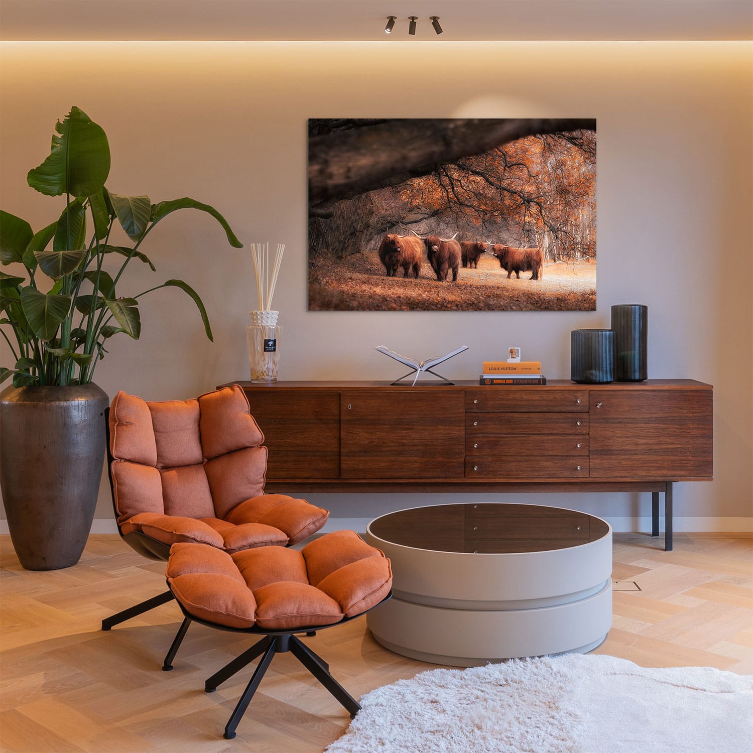 Schotse Hooglanders Family - Afbeelding 3