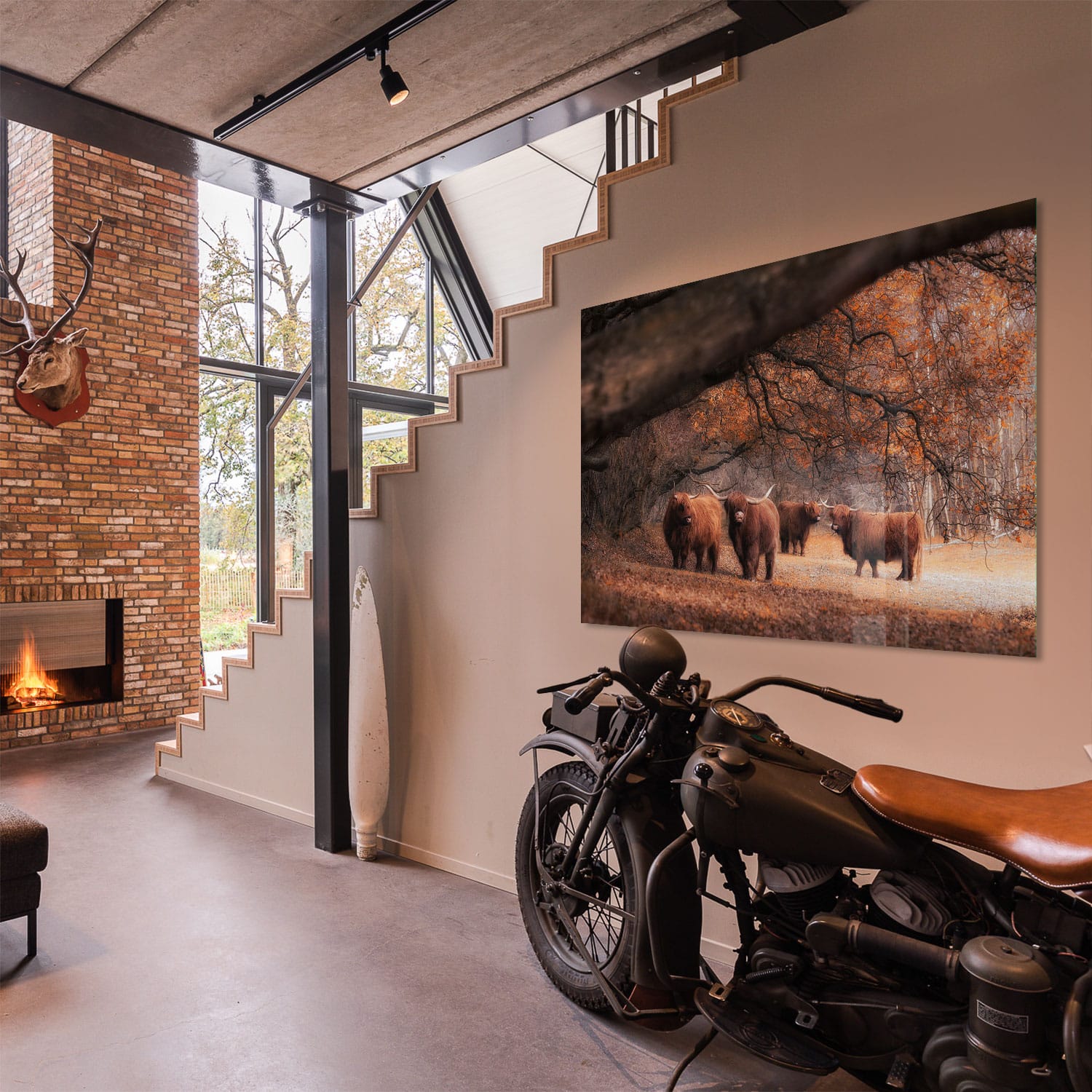 Schotse Hooglanders Family - Afbeelding 6