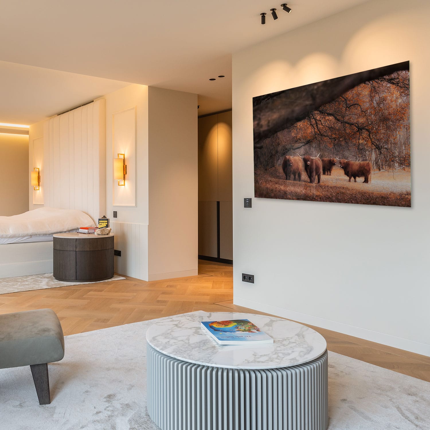 Schotse Hooglanders Family - Afbeelding 7