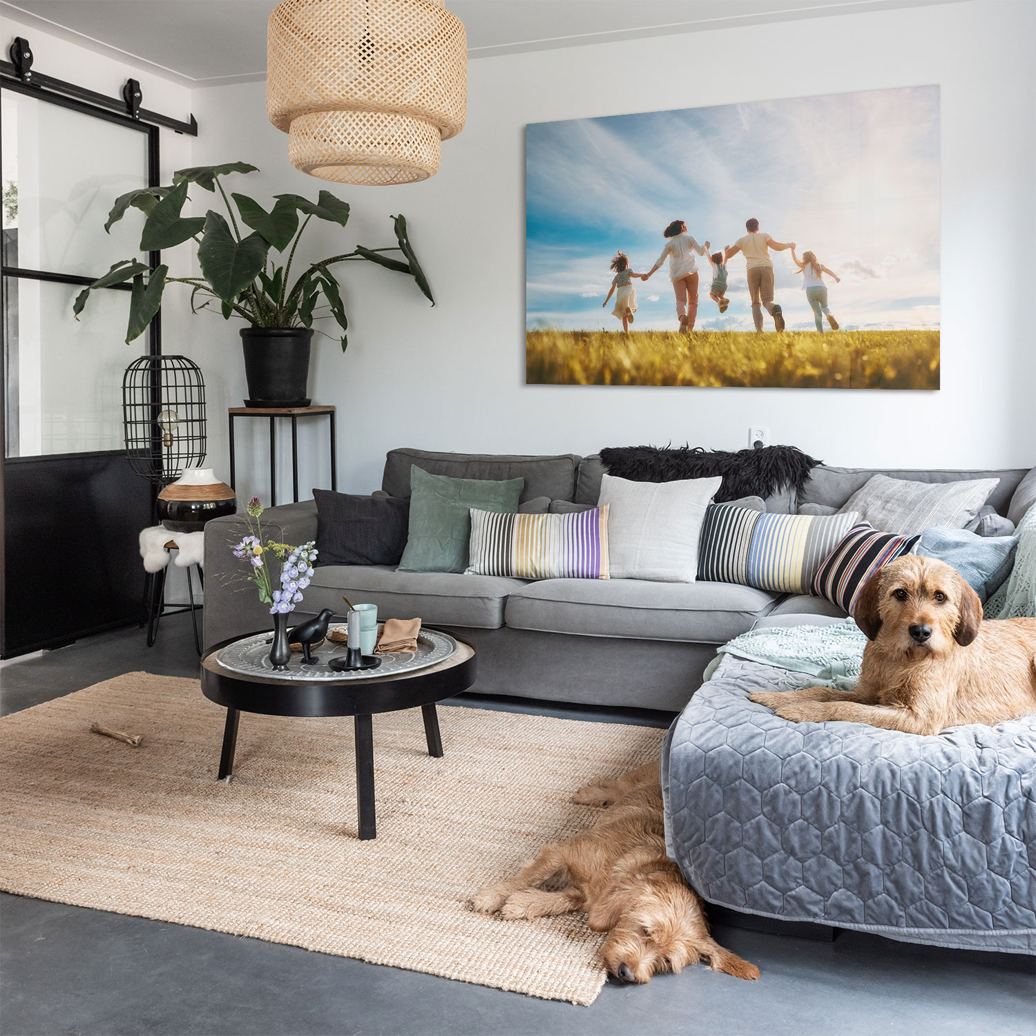 Eigen foto - Afbeelding 2