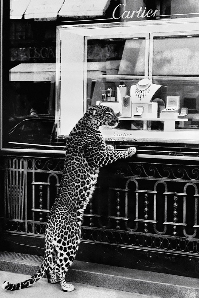 Predator of Prestige