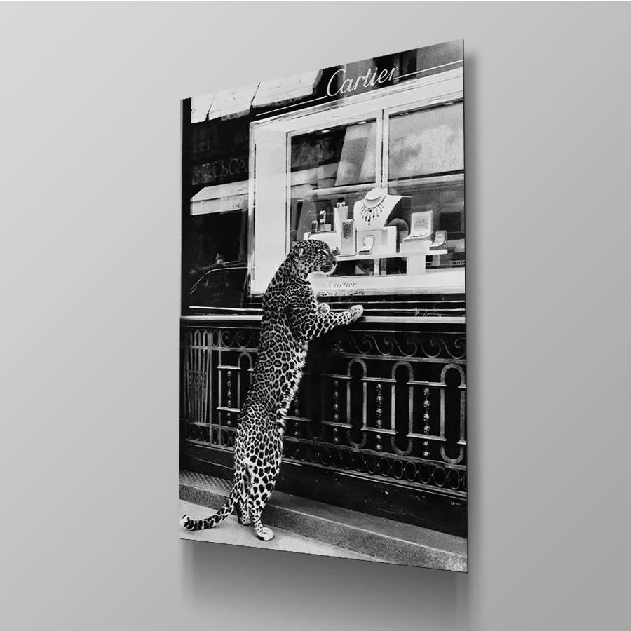 Predator of Prestige - Afbeelding 4